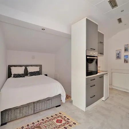 Apartment Studio Central *